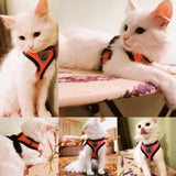 Escape-Proof Cat Harness Vest — Adjustable Mesh Walking Jacket for Cats & Small