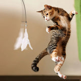 Interactive Cat Feather Wand — Suction Cup Teaser Toy for Indoor Cats