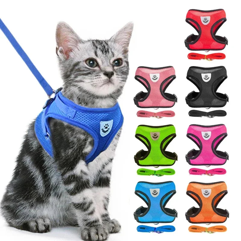 Escape-Proof Cat Harness Vest — Adjustable Mesh Walking Jacket for Cats & Small